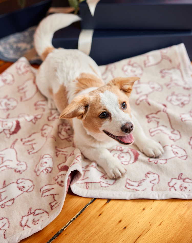 For Pets
