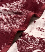 Santa Toile Blanket