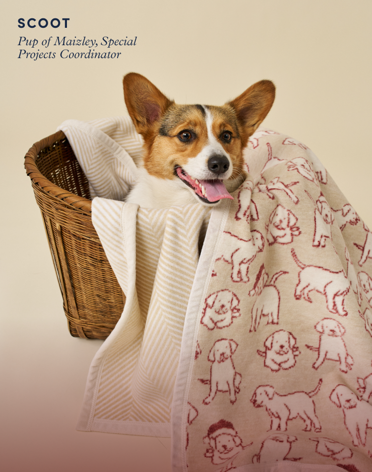 For Pets