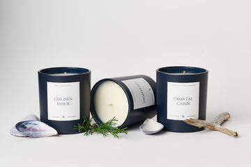 Three dark navy candles with white labels surrounded by shells, driftwood, and green botanicals on white background.4